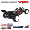 1/10 scale pro limited edition buggy with upgrade parts, 4WD brushless electric buggy